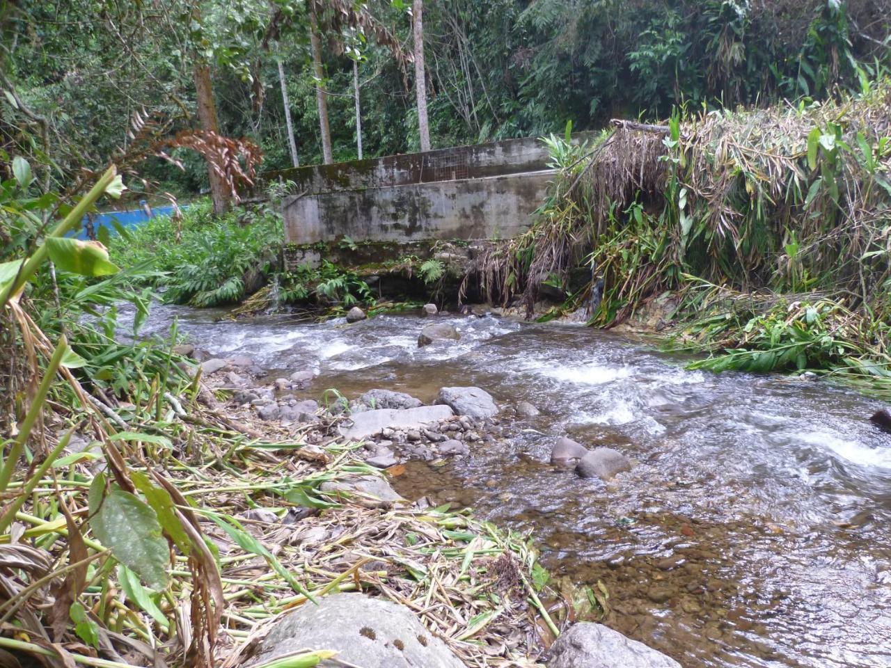 Lodge Campos Eliseos Oxapampa